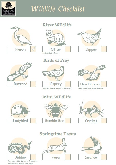 Wildlife Spotting Checklist